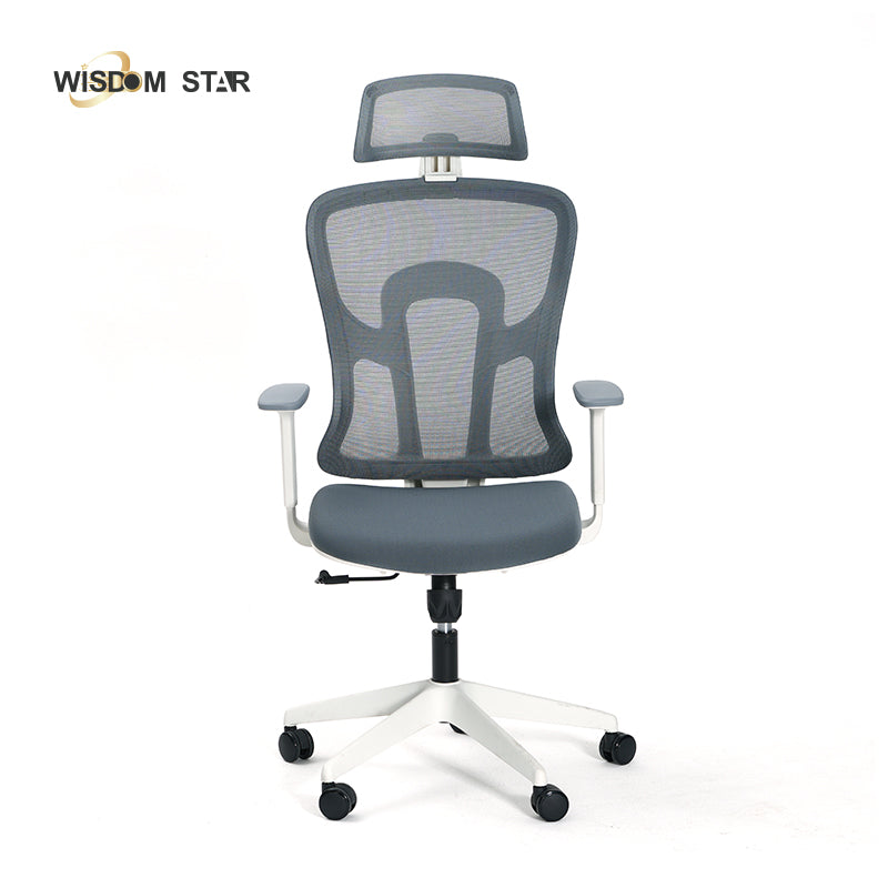 WISDOM STAR Furniture Computer Chair Home Office Chair Swivel Ergo Chair Gaming Chair Study Working Chair