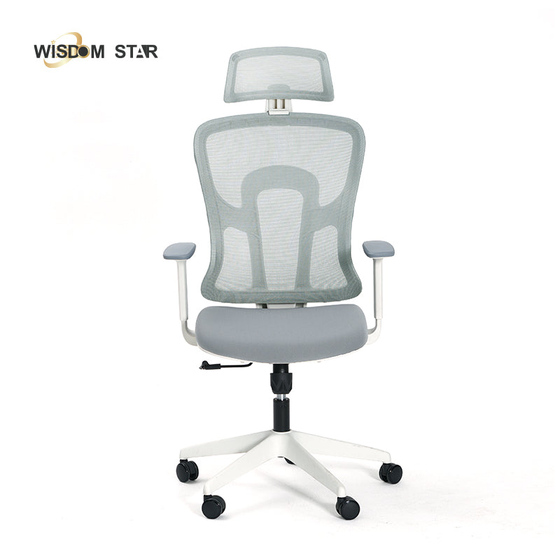 WISDOM STAR Furniture Computer Chair Home Office Chair Swivel Ergo Chair Gaming Chair Study Working Chair