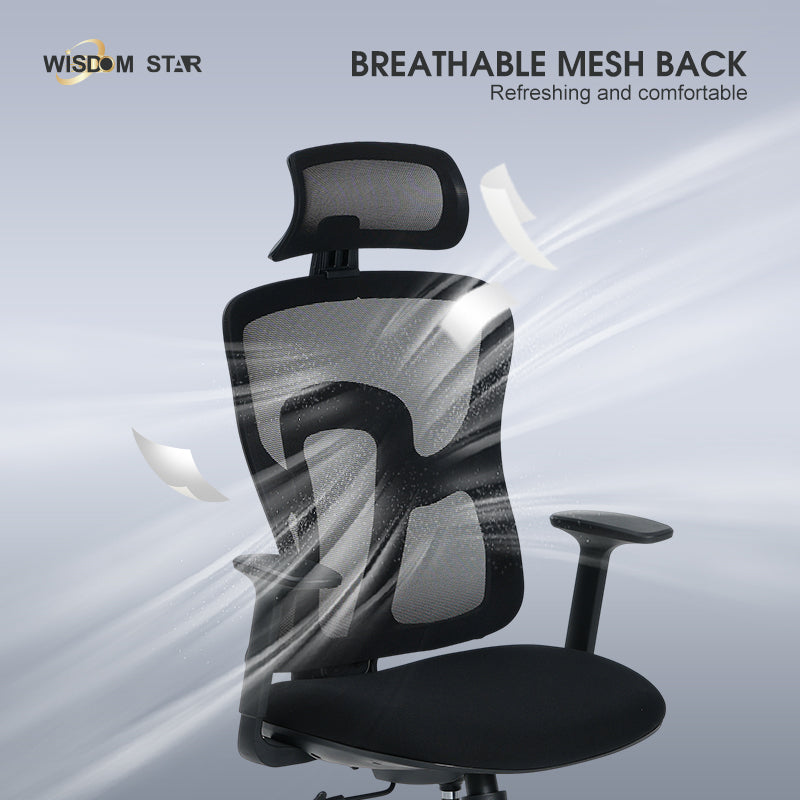 WISDOM STAR Furniture Computer Chair Home Office Chair Swivel Ergo Chair Gaming Chair Study Working Chair