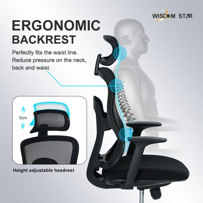 WISDOM STAR Furniture Computer Chair Home Office Chair Swivel Ergo Chair Gaming Chair Study Working Chair