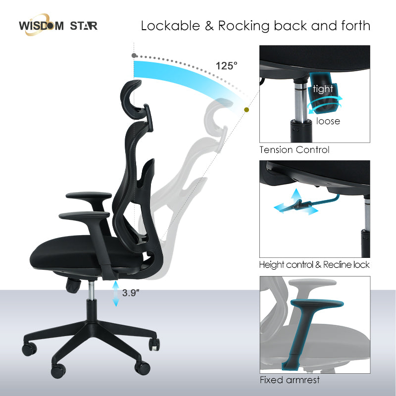WISDOM STAR Furniture Computer Chair Home Office Chair Swivel Ergo Chair Gaming Chair Study Working Chair