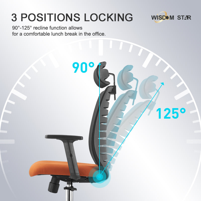 Wisdom Star Furniture Gaming Chair Comfortable Office Chair Ergonomic Chair Class 3 Gaslift+125° Lay Back Chair