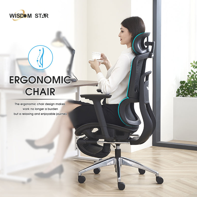 WISDOM STAR Furniture Ergonomic Chair With Foot Rest Chair Full Mesh Office Chair Gaming Chair 2D headrest 3D Armrest With 3 Years Warranty