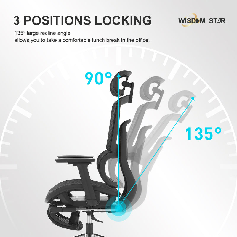 WISDOM STAR Furniture Ergonomic Chair With Foot Rest Chair Full Mesh Office Chair Gaming Chair 2D headrest 3D Armrest With 3 Years Warranty