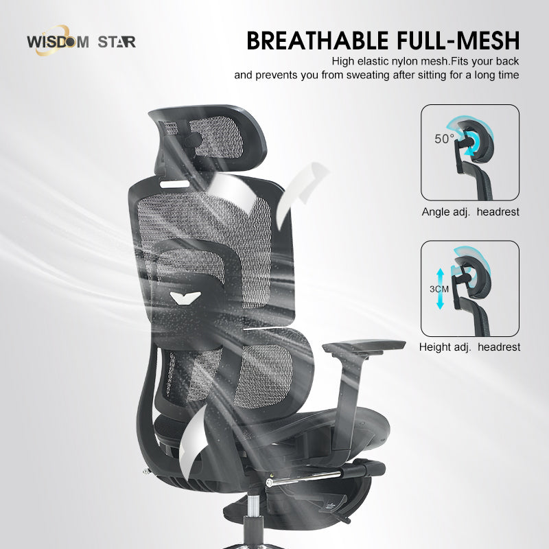 WISDOM STAR Furniture Ergonomic Chair With Foot Rest Chair Full Mesh Office Chair Gaming Chair 2D headrest 3D Armrest With 3 Years Warranty