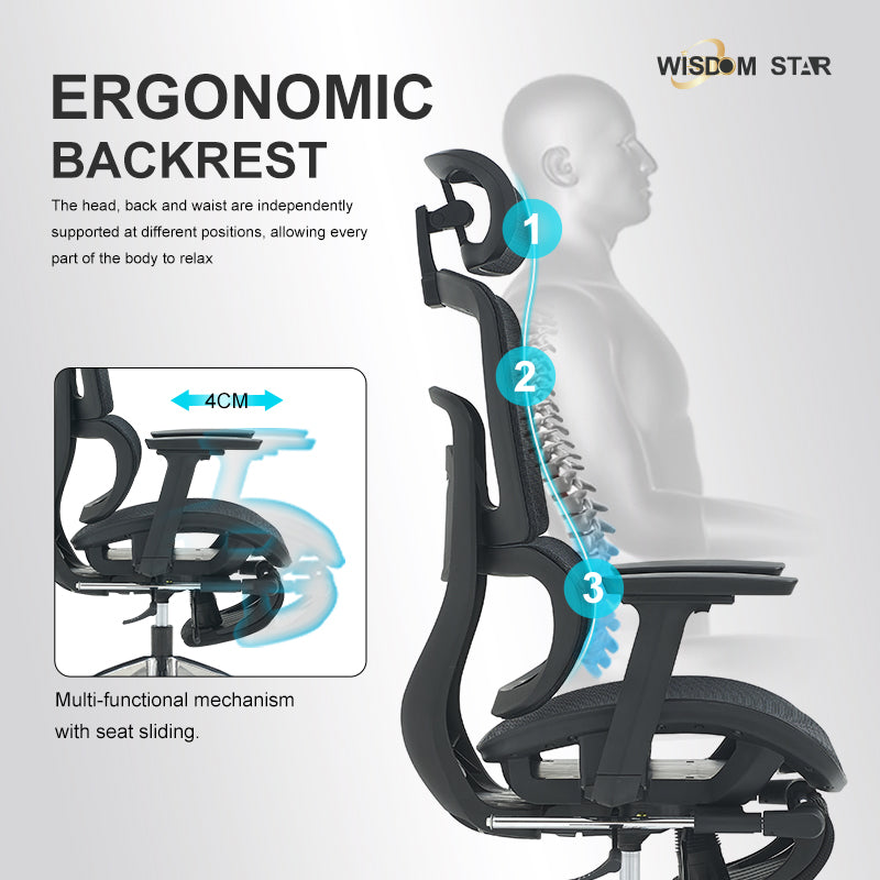 WISDOM STAR Furniture Ergonomic Chair With Foot Rest Chair Full Mesh Office Chair Gaming Chair 2D headrest 3D Armrest With 3 Years Warranty