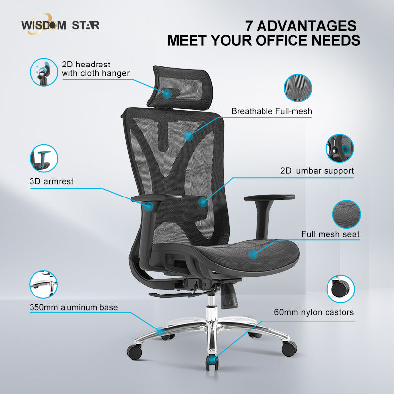 【Ready Stock】WISDOM STAR Furniture Full Mesh Office Chair Ergonomic Chair with 3D Armrests, 2D Lumbar Support & 2D Headrest Chair Gaming Chair 3 Years Warranty