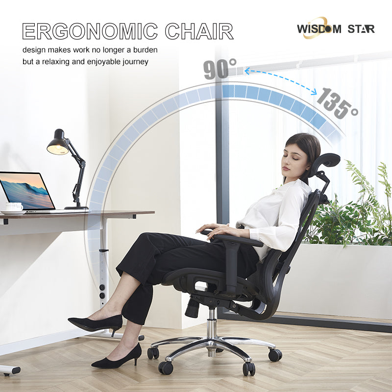 【Ready Stock】WISDOM STAR Furniture Full Mesh Office Chair Ergonomic Chair with 3D Armrests, 2D Lumbar Support & 2D Headrest Chair Gaming Chair 3 Years Warranty