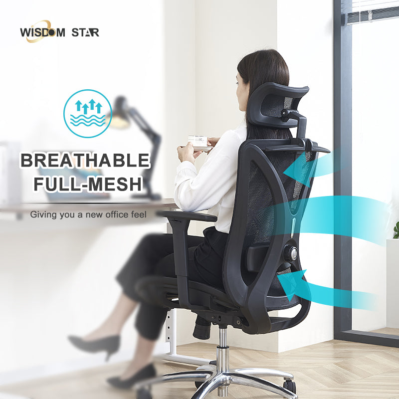 【Ready Stock】WISDOM STAR Furniture Full Mesh Office Chair Ergonomic Chair with 3D Armrests, 2D Lumbar Support & 2D Headrest Chair Gaming Chair 3 Years Warranty