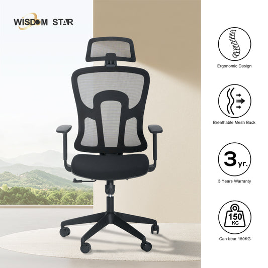 WISDOM STAR Furniture Computer Chair Home Office Chair Swivel Ergo Chair Gaming Chair Study Working Chair