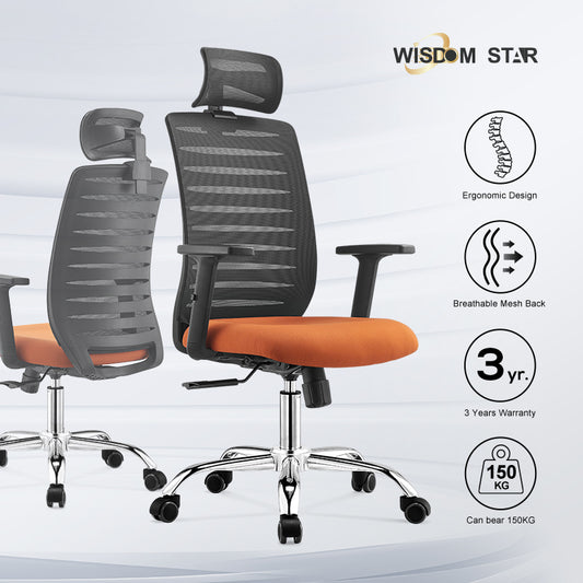 Wisdom Star Furniture Gaming Chair Comfortable Office Chair Ergonomic Chair Class 3 Gaslift+125° Lay Back Chair