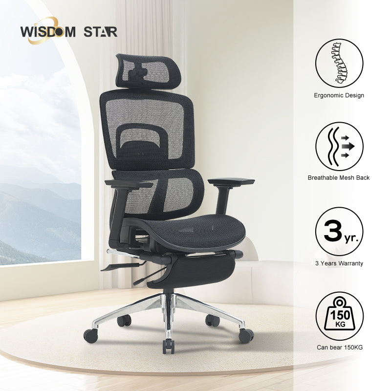 WISDOM STAR Furniture Ergonomic Chair With Foot Rest Chair Full Mesh Office Chair Gaming Chair 2D headrest 3D Armrest With 3 Years Warranty