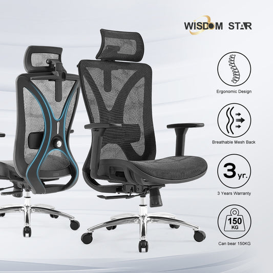 【Ready Stock】WISDOM STAR Furniture Full Mesh Office Chair Ergonomic Chair with 3D Armrests, 2D Lumbar Support & 2D Headrest Chair Gaming Chair 3 Years Warranty