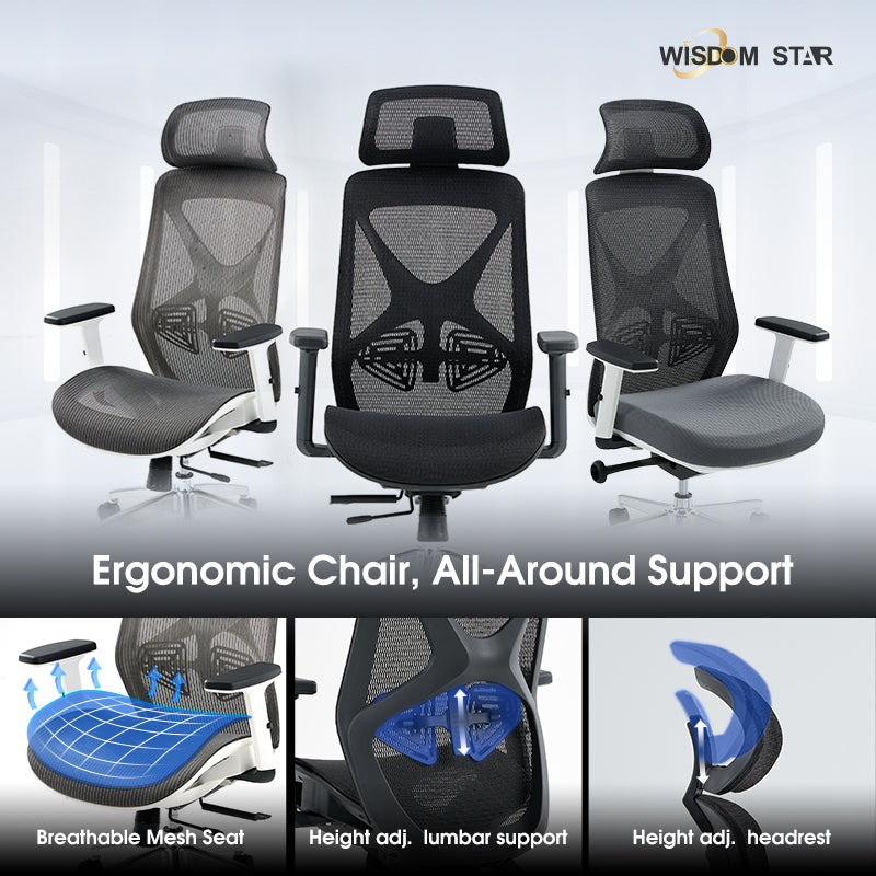 【Ready Stock】WISDOM STAR Furniture Ergonomic Chair Full Mesh Office Chair Gaming Chair with Armrests, Lumbar Support & Headrest Chair 3 Years Warranty